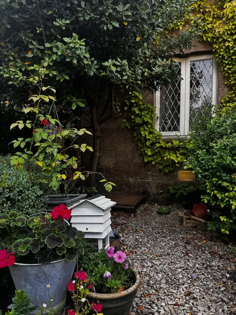 plant filled cottage front wall garden