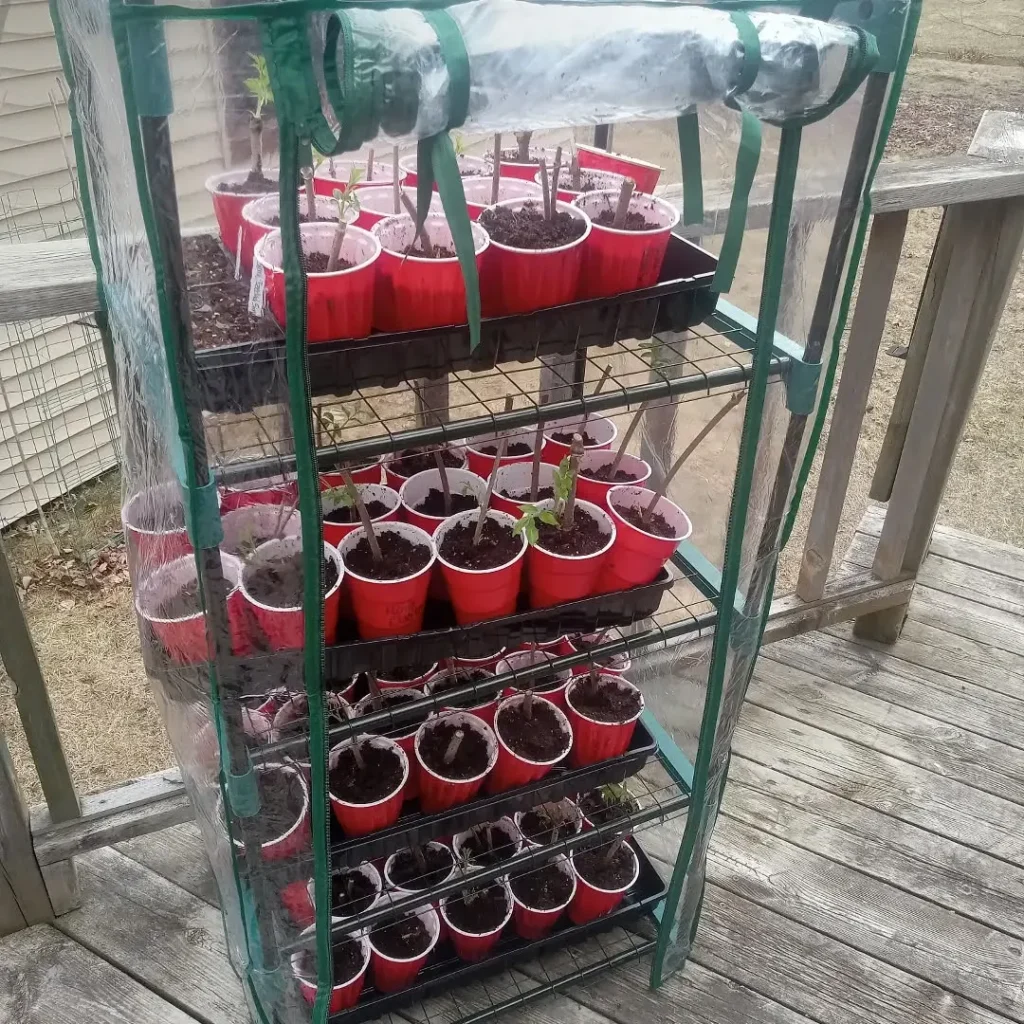 portable greenhouse