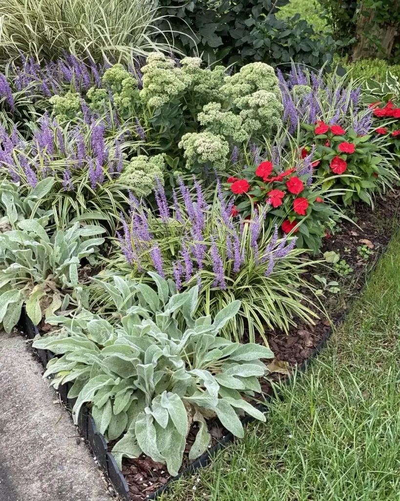 purple flower spikes garden