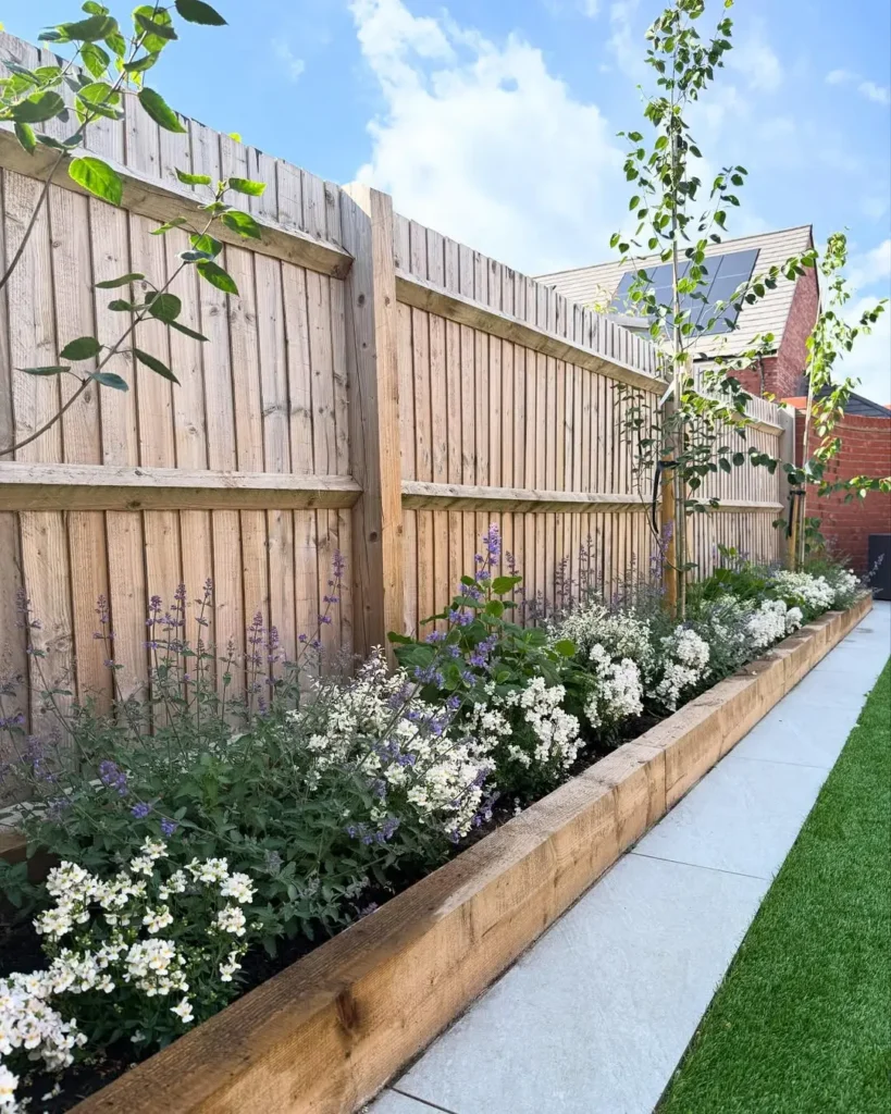 purple flowering plants garden