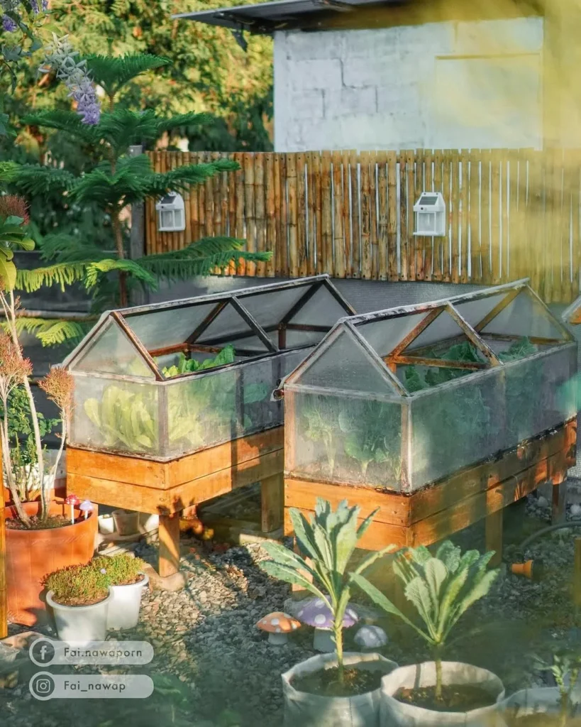 raised garden greenhouse