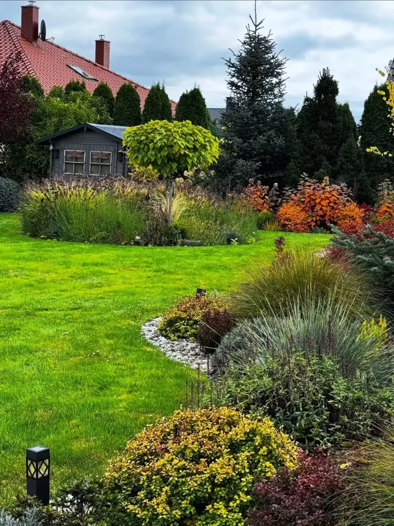 residential backyard garden