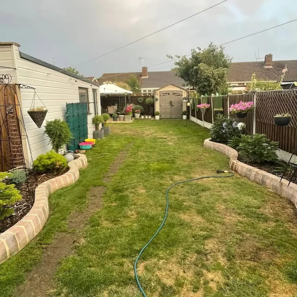 residential backyard garden