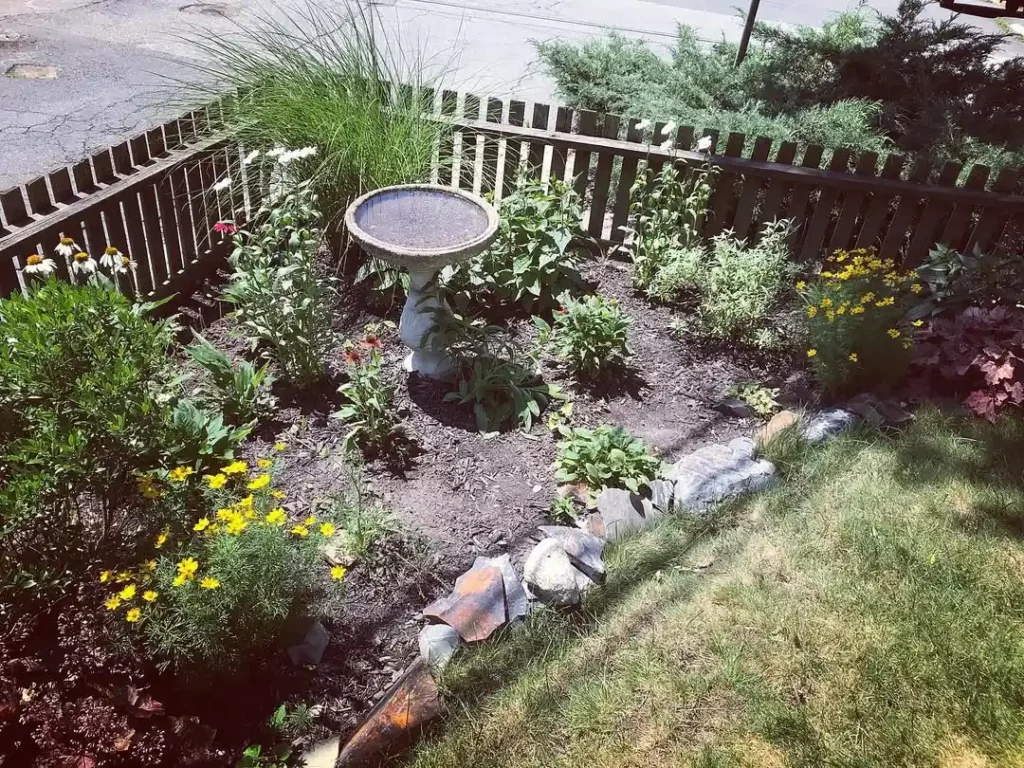 residential corner garden