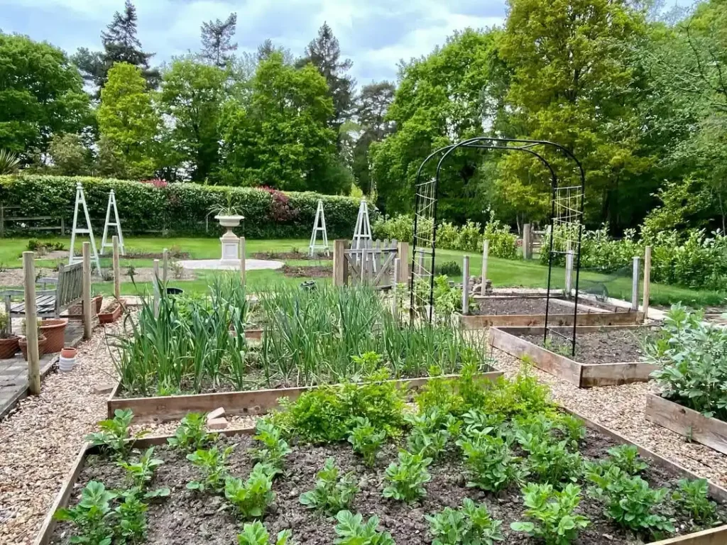 several raised beds garden