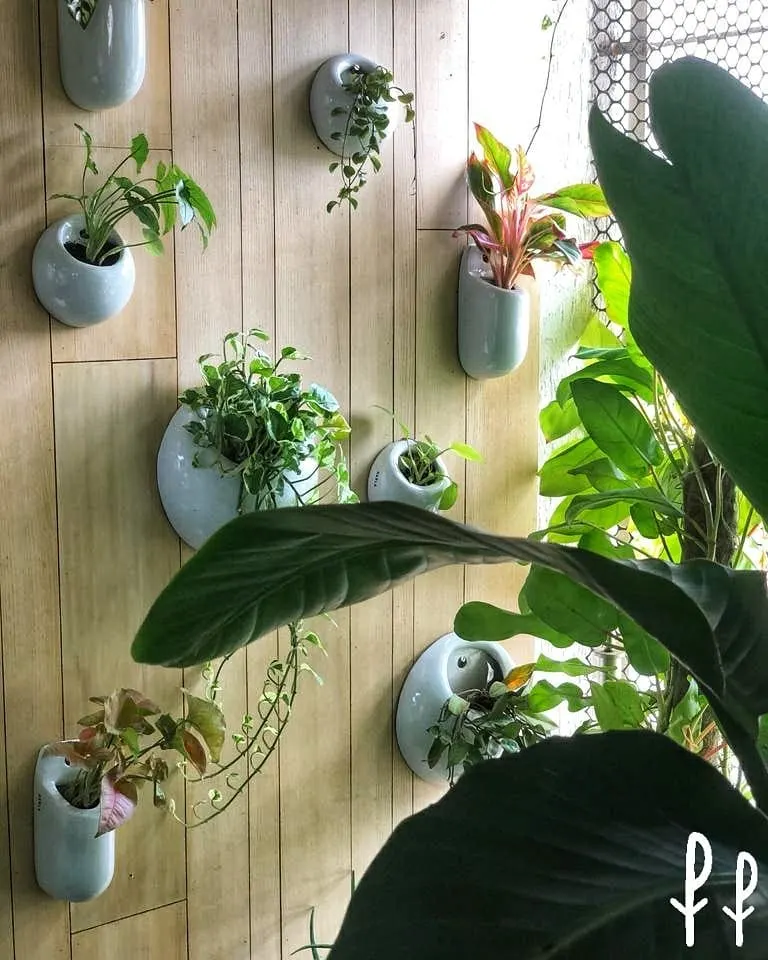 Indoor Wall Garden Ideas: Transform Your Walls into Living Art small decor wall garden