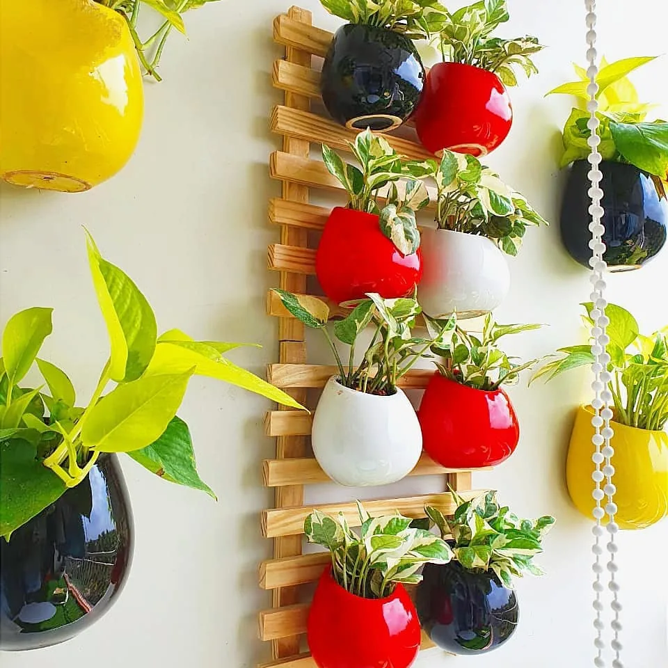 Indoor Wall Garden Ideas: Transform Your Walls into Living Art stylish plant wall