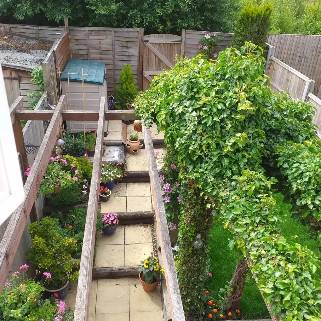 terraced backyard garden