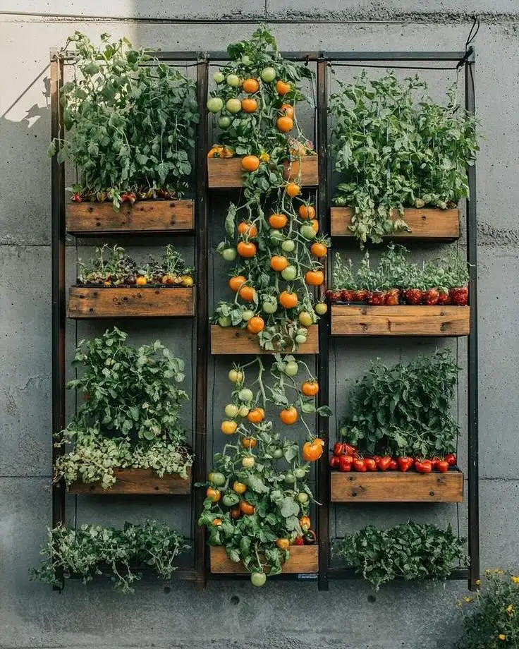 Indoor Wall Garden Ideas: Transform Your Walls into Living Art vertical vegetable garden