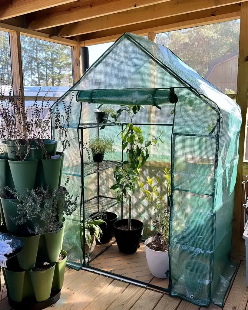 walk in mini greenhouse