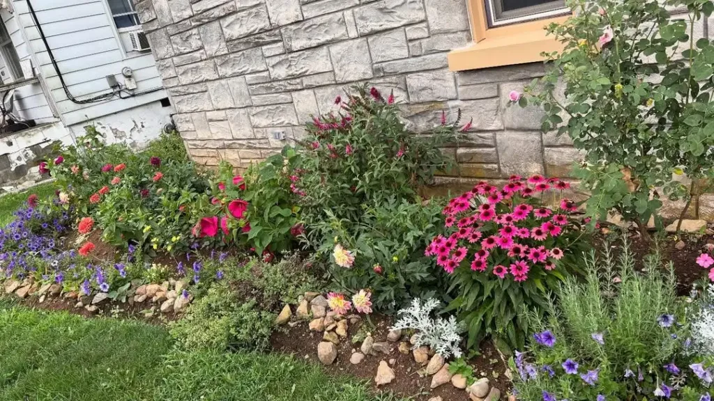 well maintained perennial garden