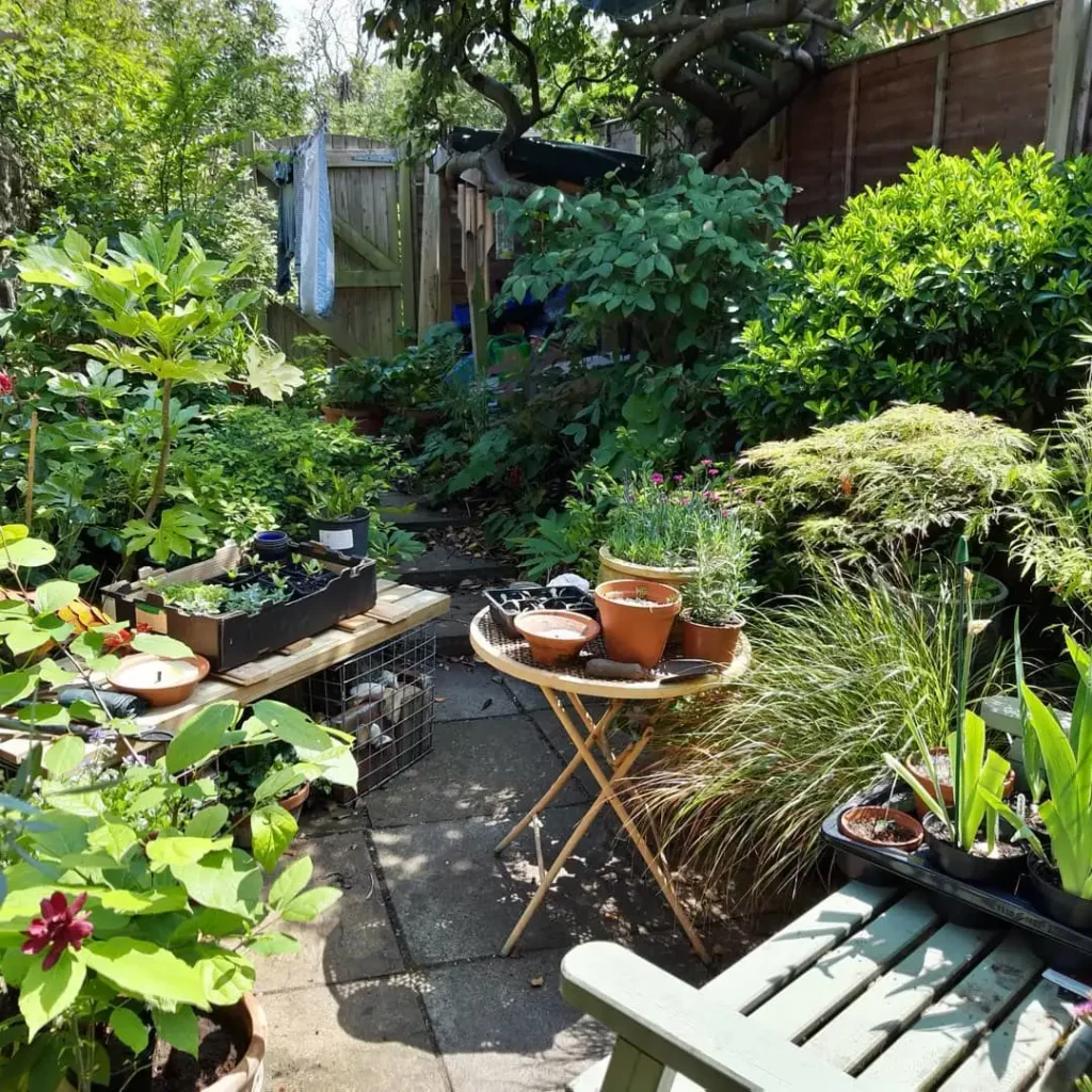 well stocked back garden