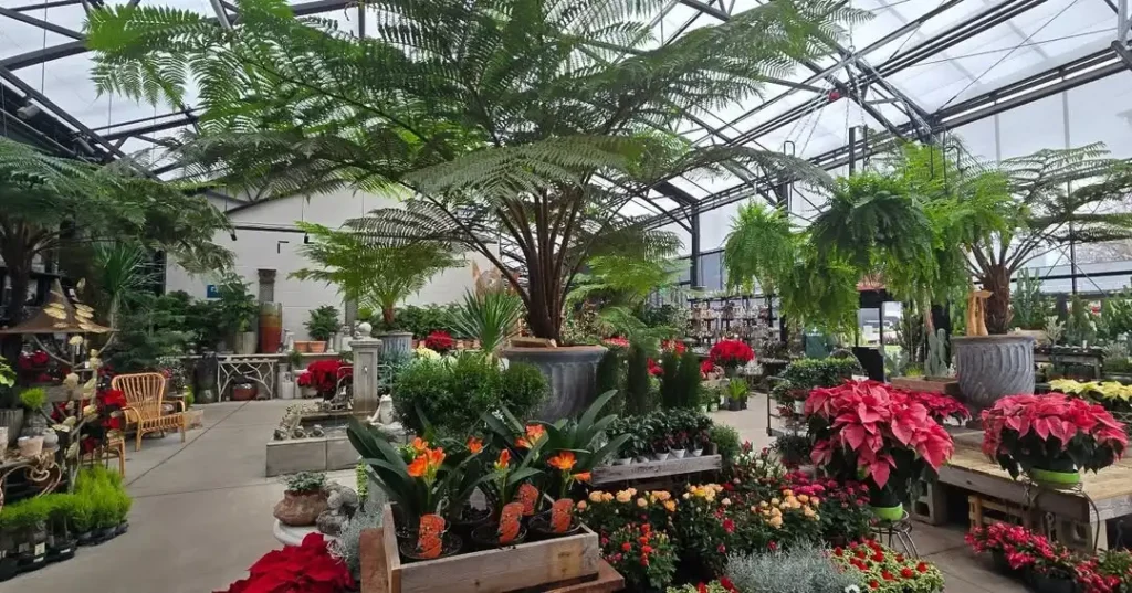 well stocked outdoor plants