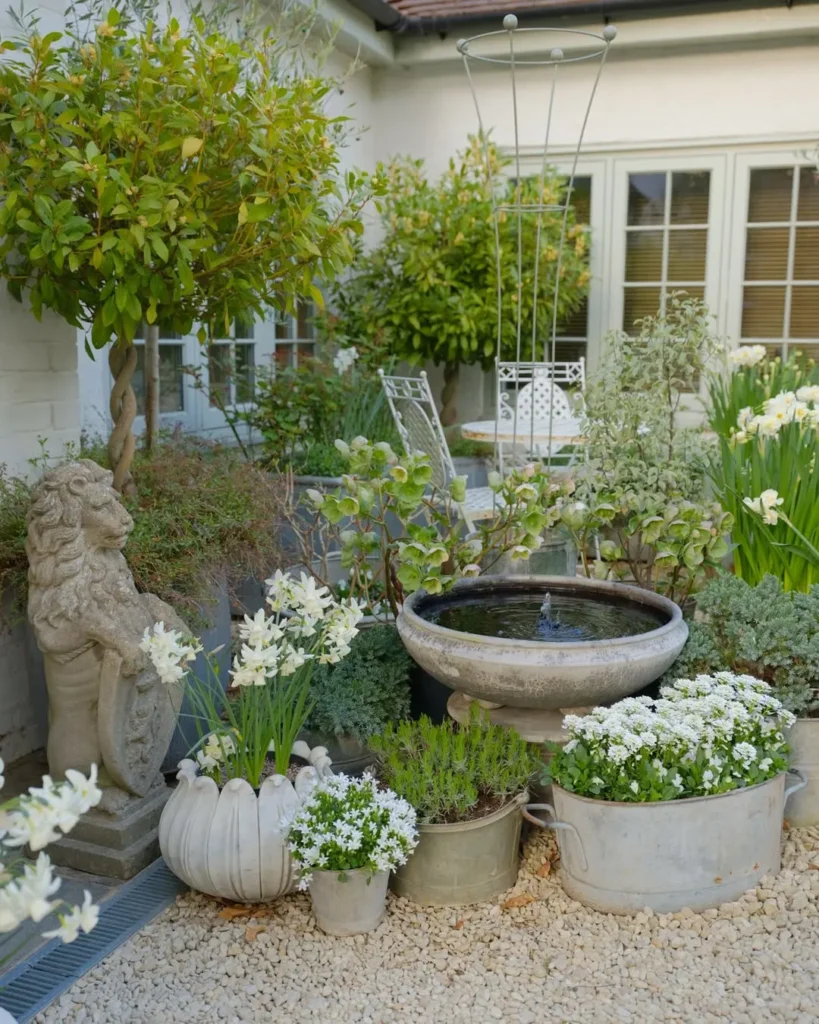 white flowering garden