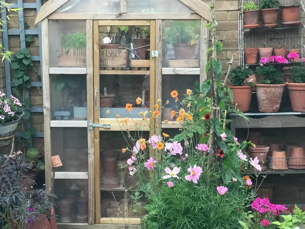 wooden mini greenhouse