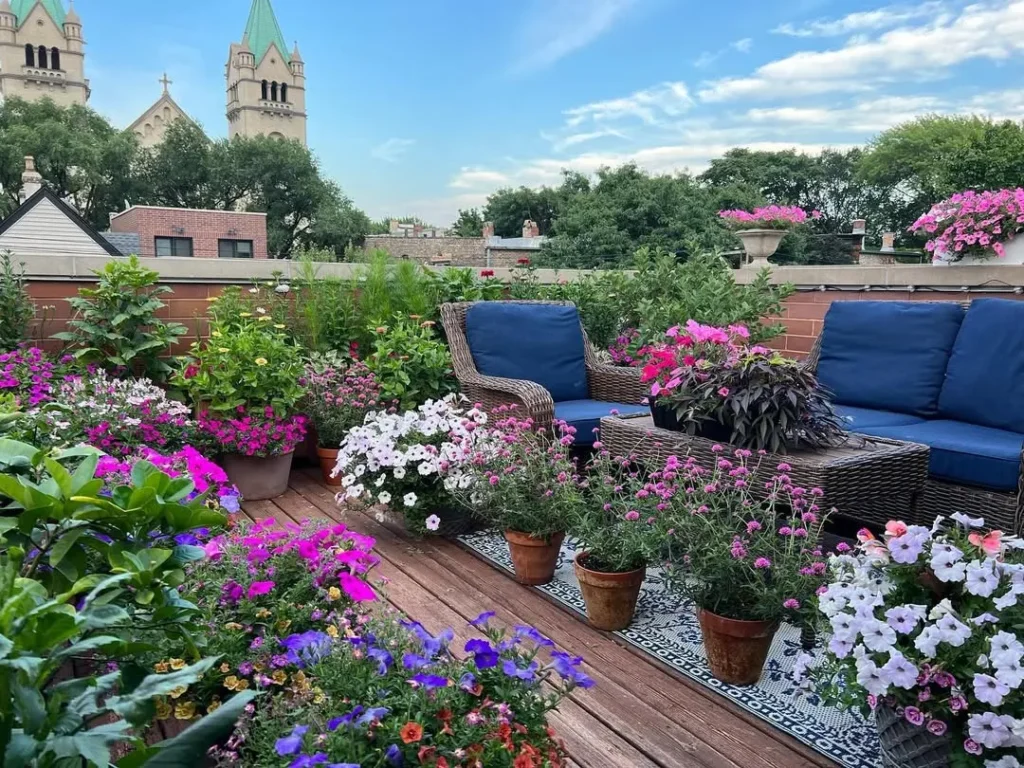 a garden of containers