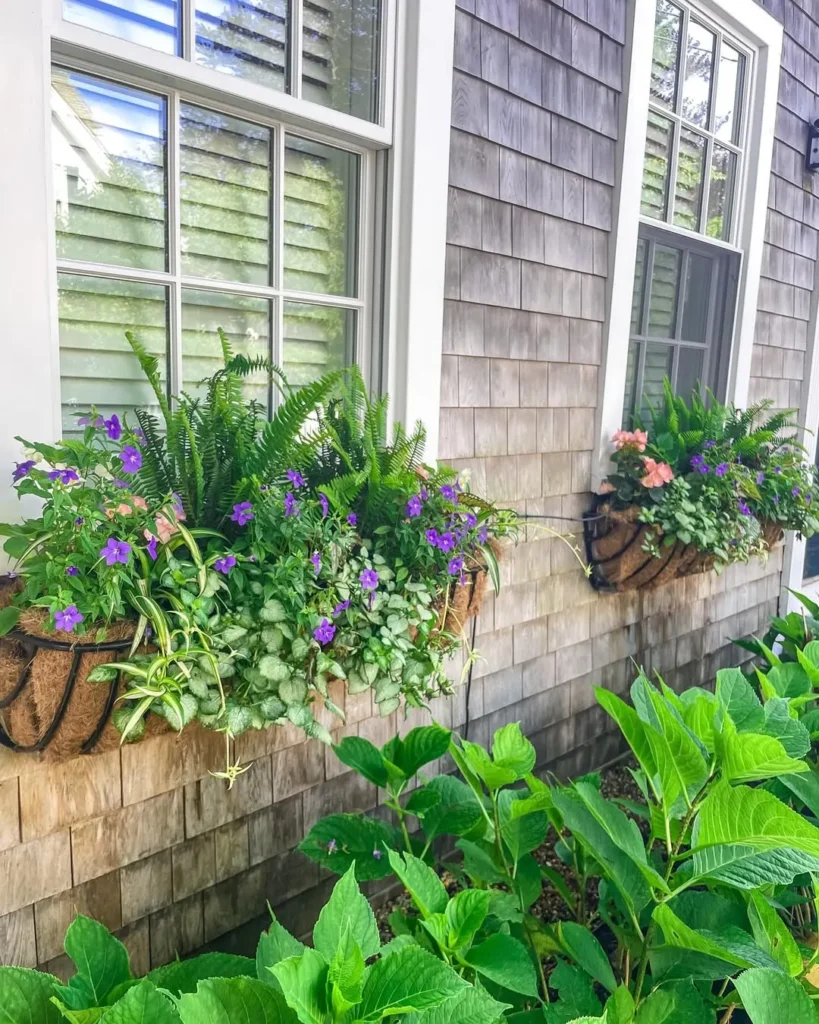 adorned windows container garden