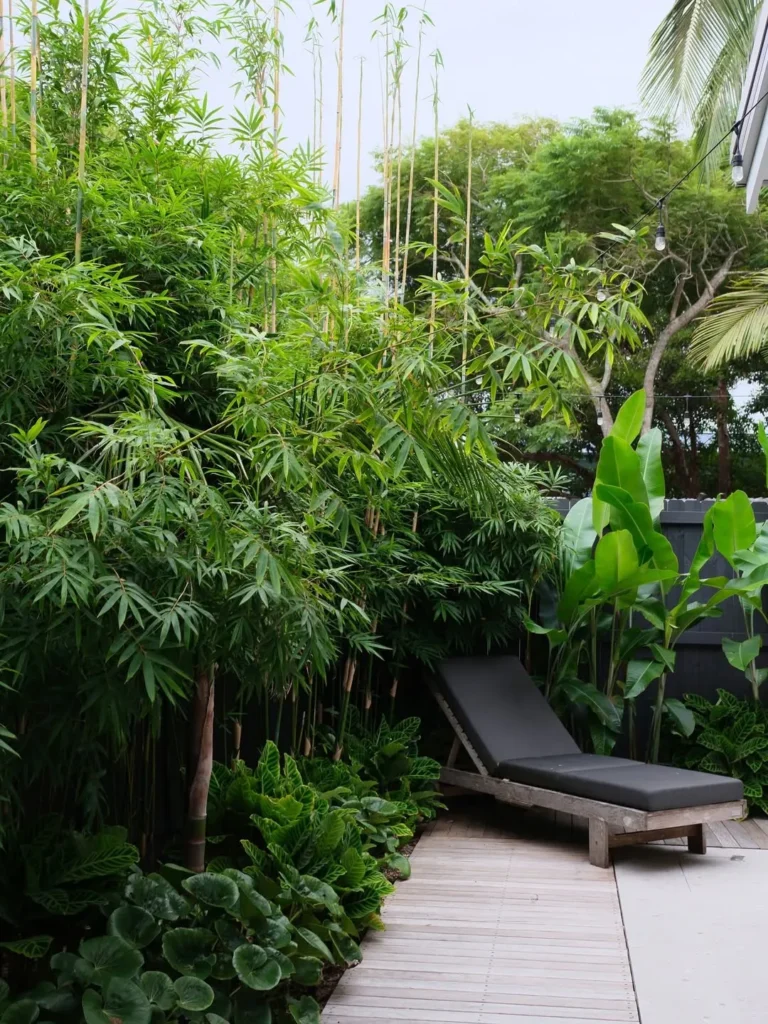 bamboo privacy plants fence
