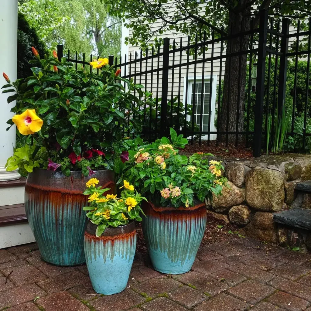 colorful and tropical container garden