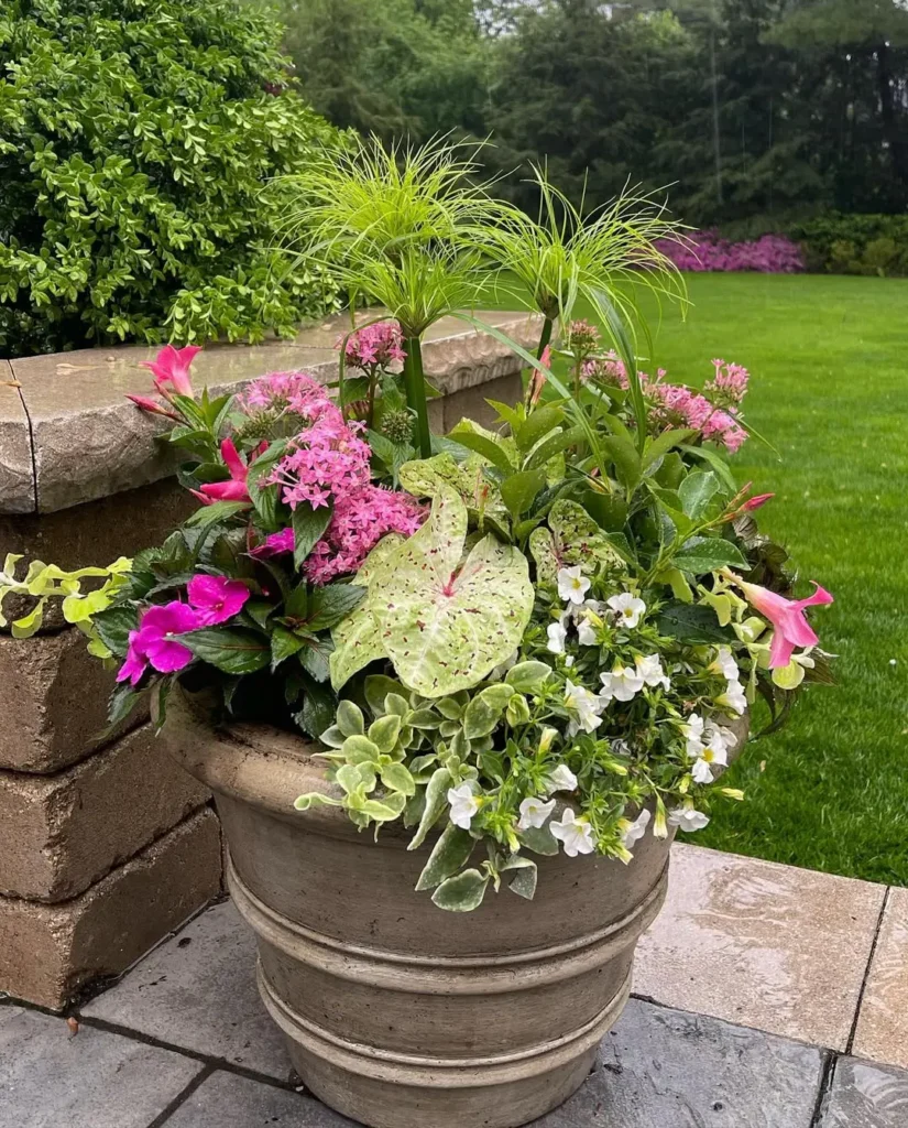 concrete with mixed flowers