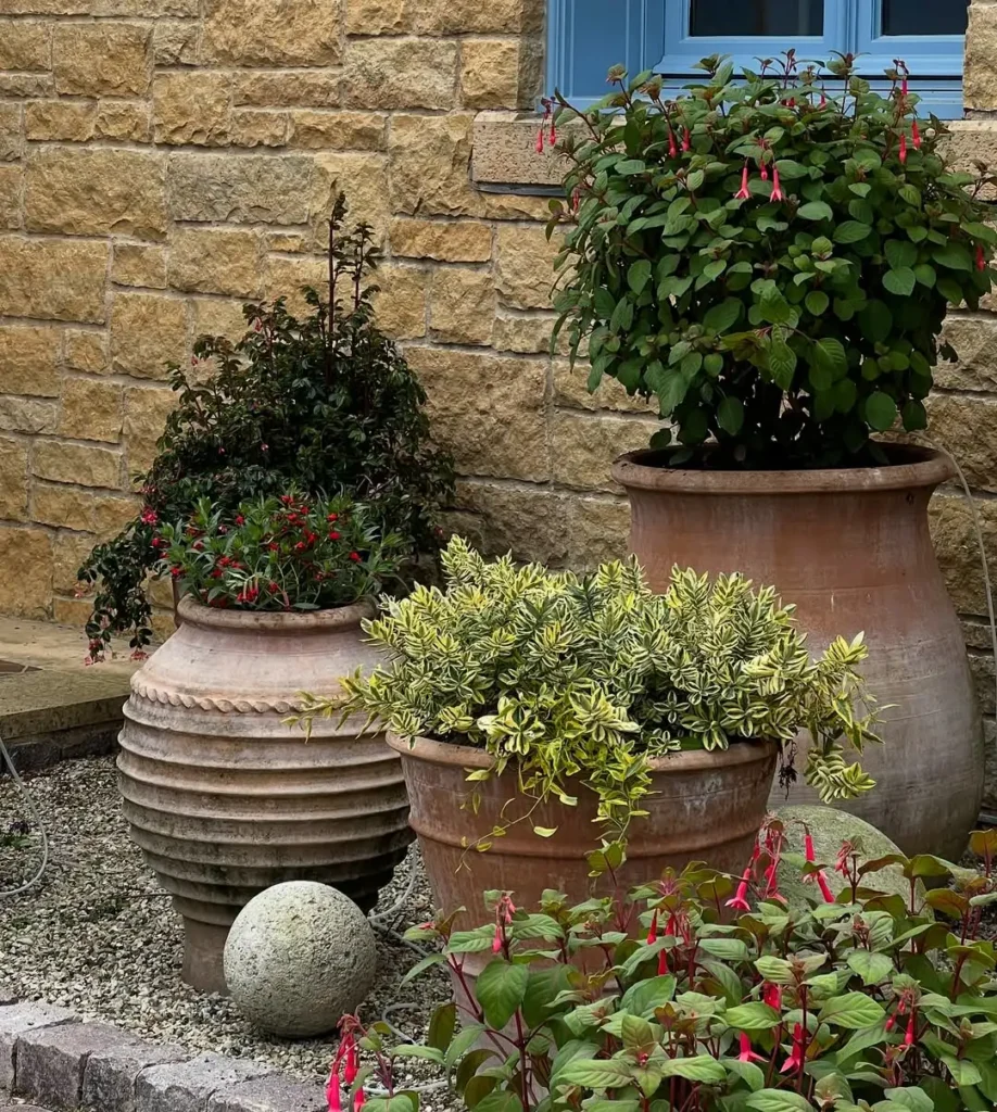 cottage style container arrangement