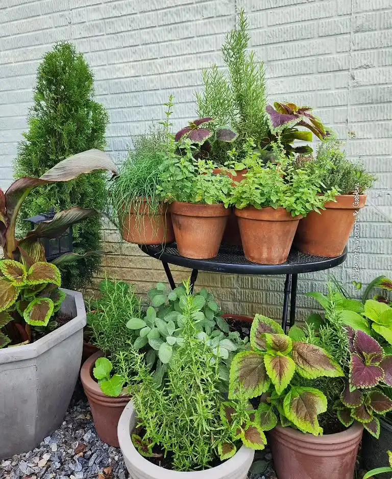 creative mini herb garden setups