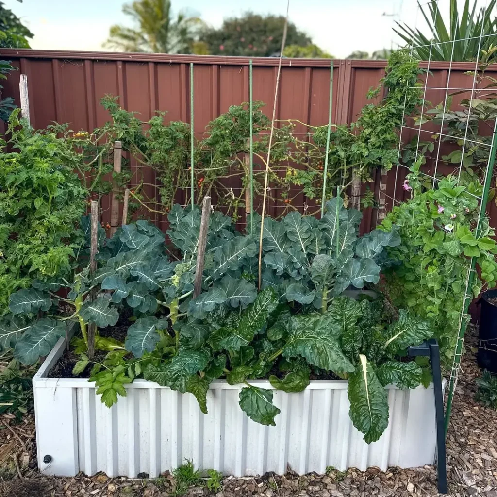 dewdrop hollow gardens