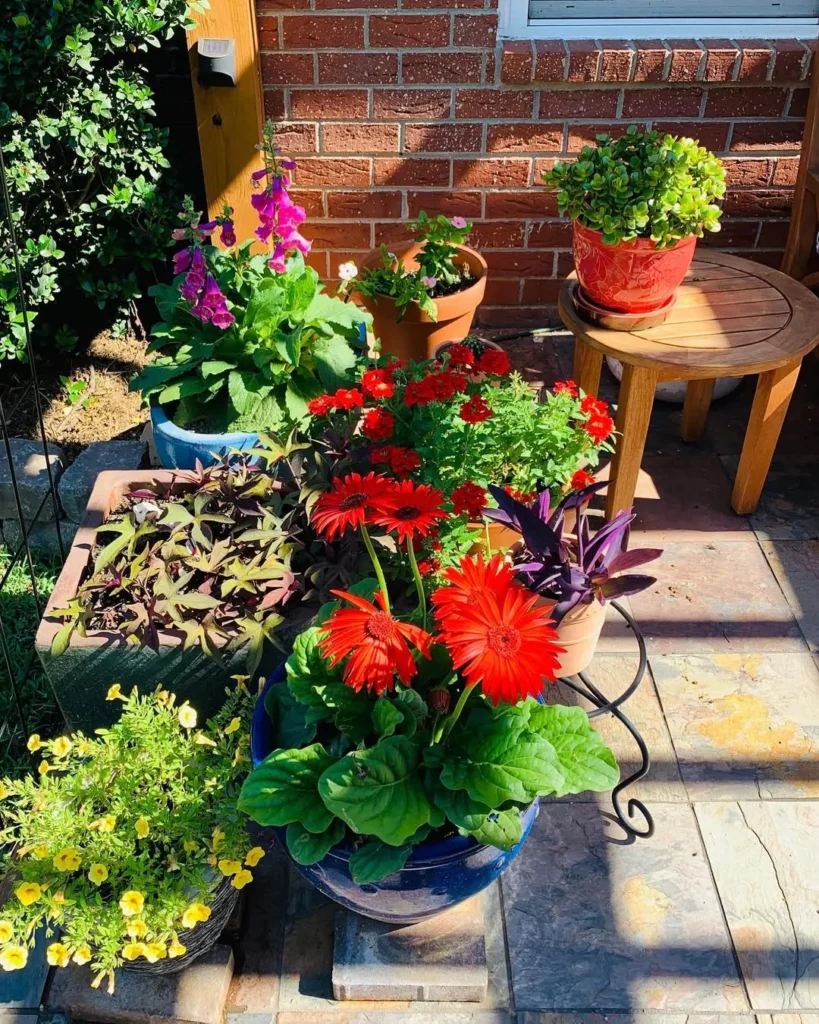 fairy patio garden miniature