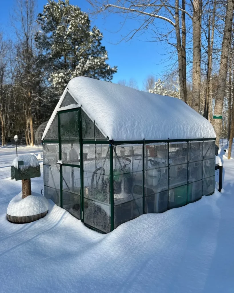 glass retreat greenhouse