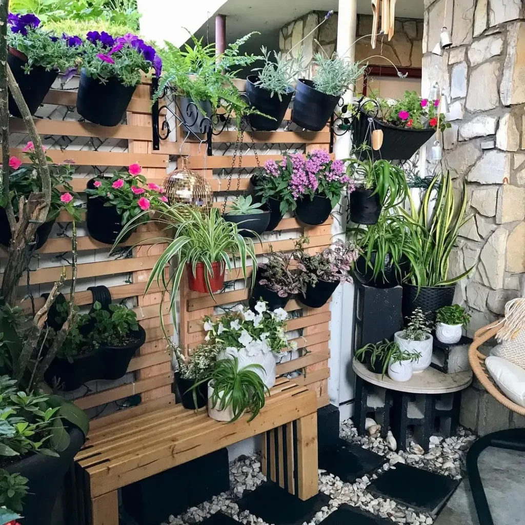 hanging basket patio garden