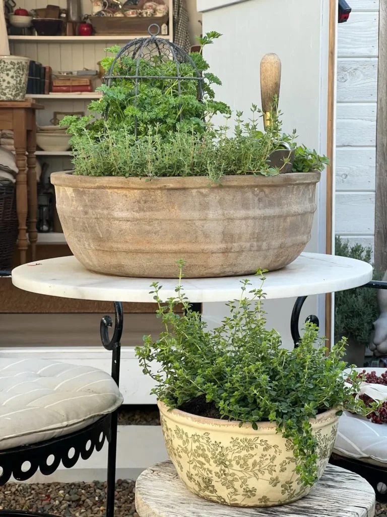 herb garden pots you