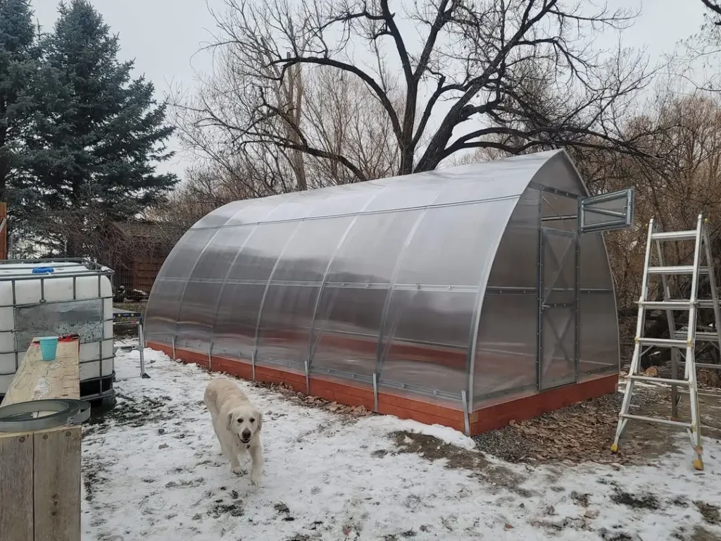 hothouse greenhouse