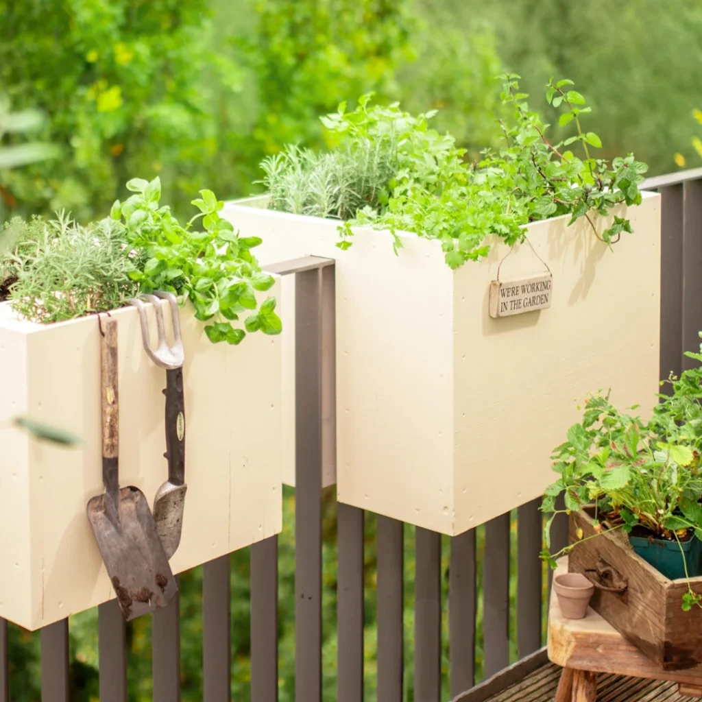 mini herb garden for balconies