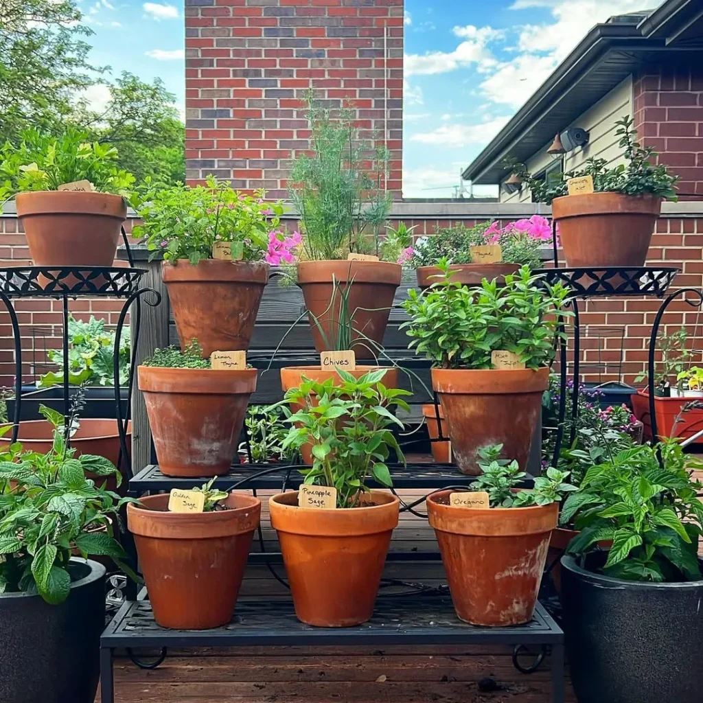outdoor herb garden pots ideas