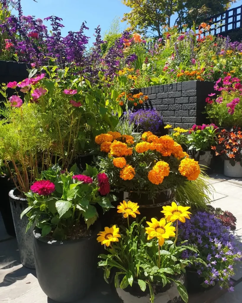 rainbow container garden (1)