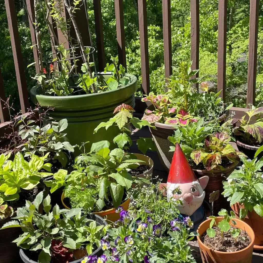 seed starters container garden