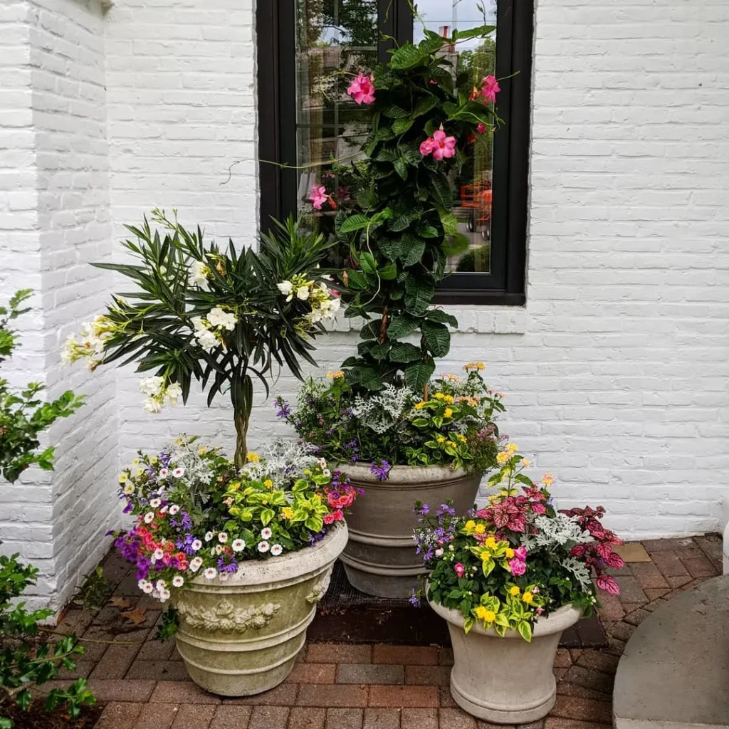 simple three plant container arrangement (1)