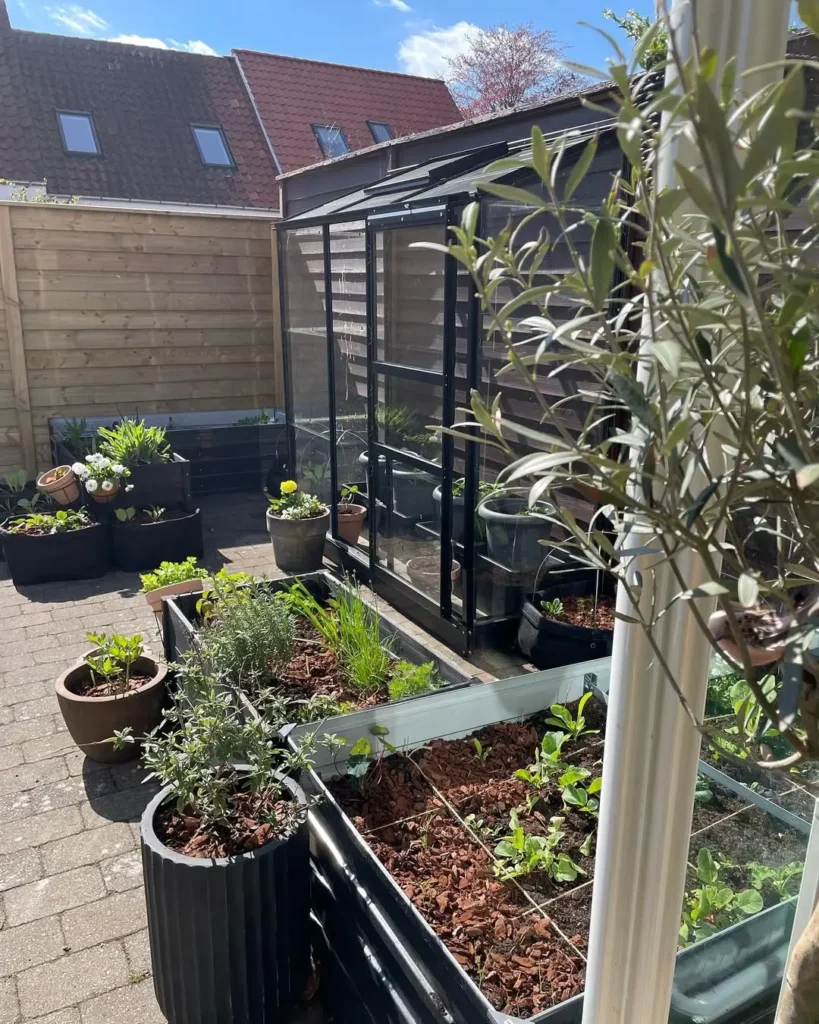 small urban patio garden