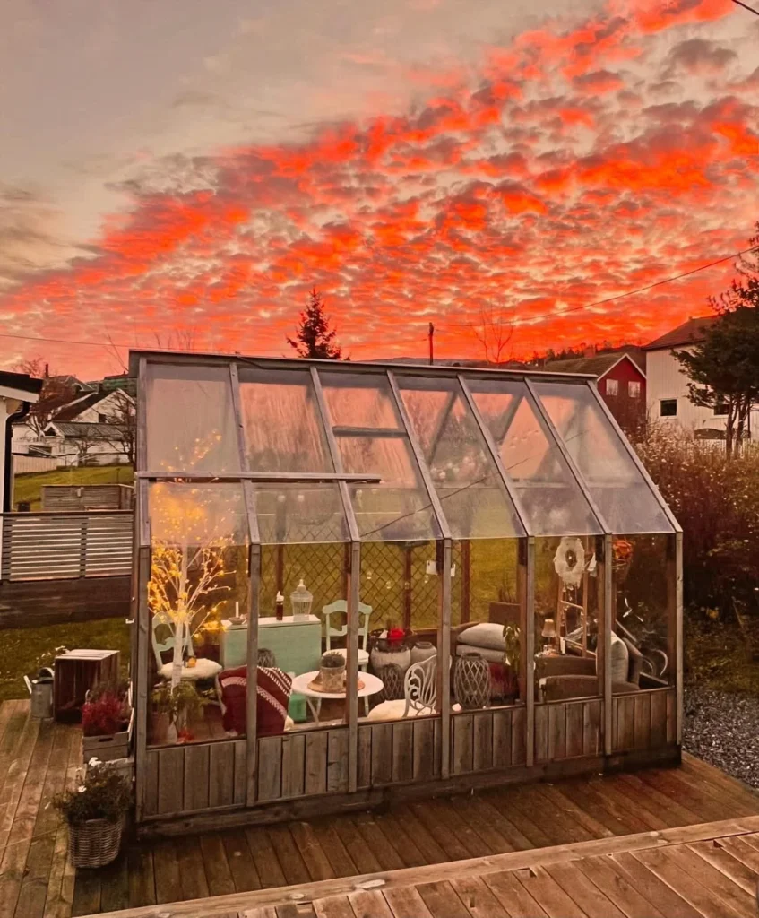 sunset sanctuary greenhouse