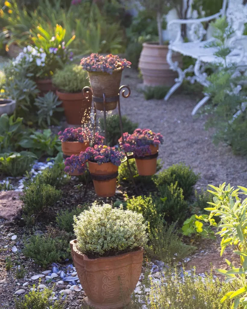 terracotta herb garden pots guide