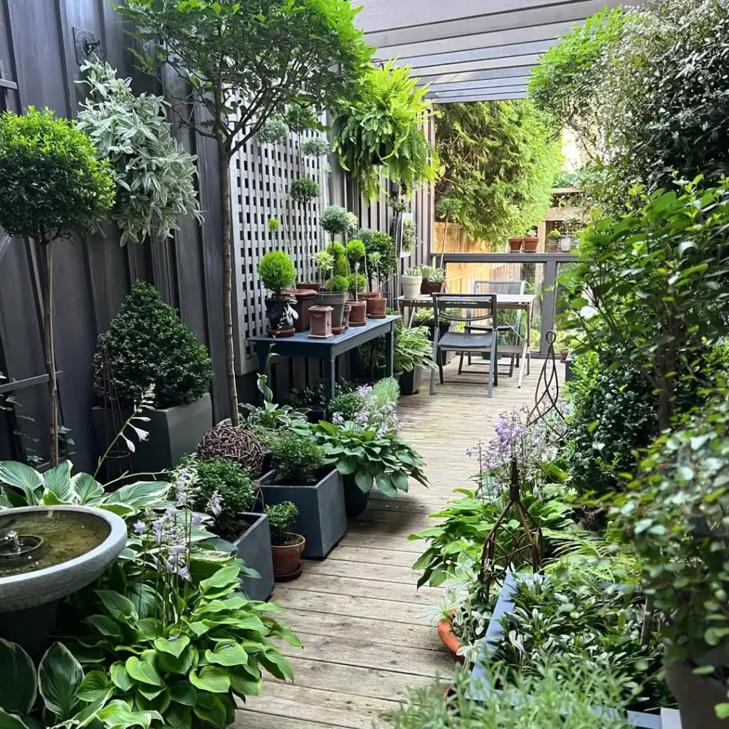 topiary terrace container garden