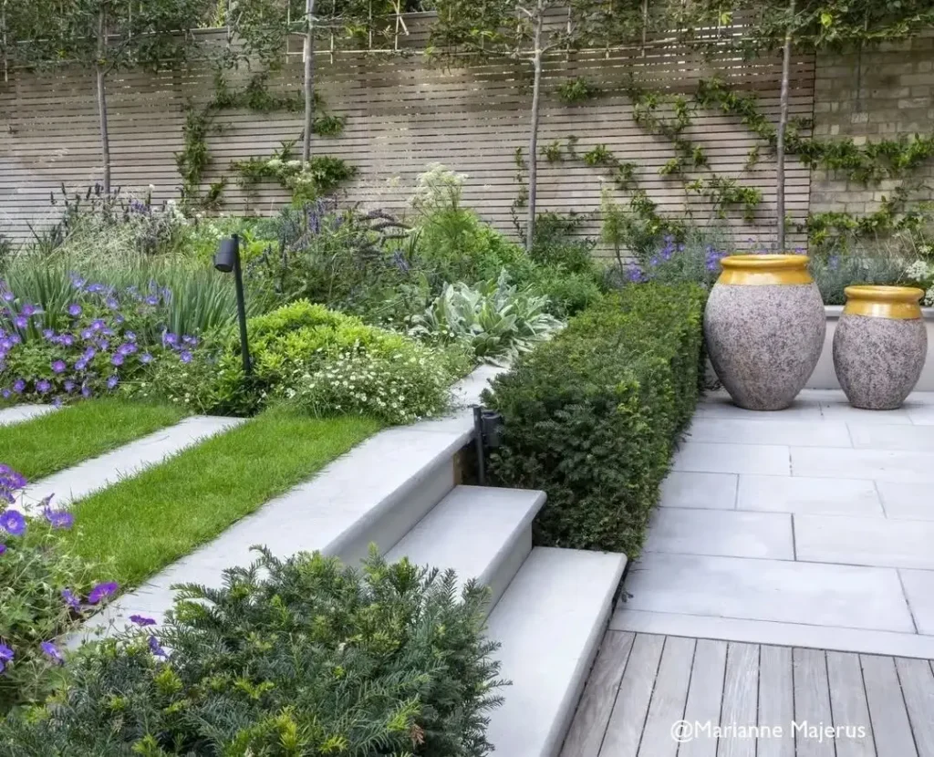 yew privacy plants fence (1)