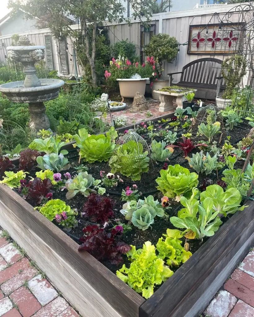 charming backyard garden