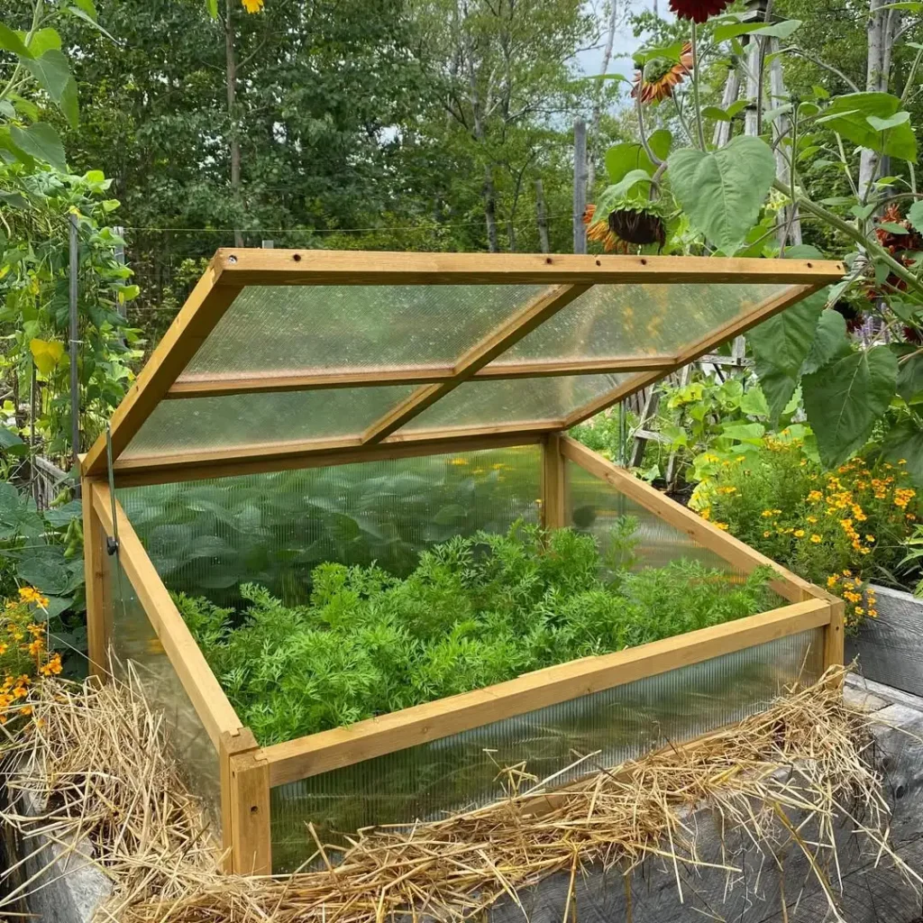 cold frame greenhouse