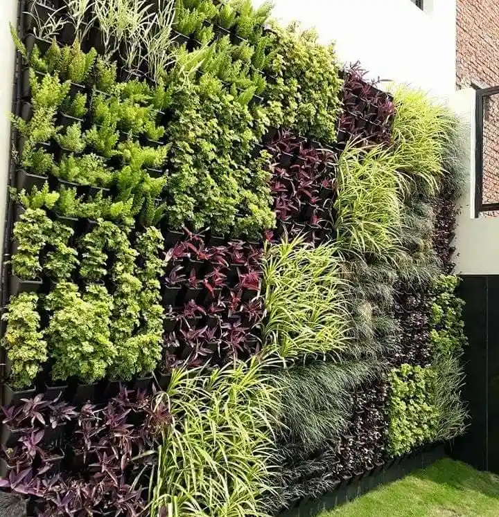 Indoor Wall Garden Ideas: Transform Your Walls into Living Art lush wall garden
