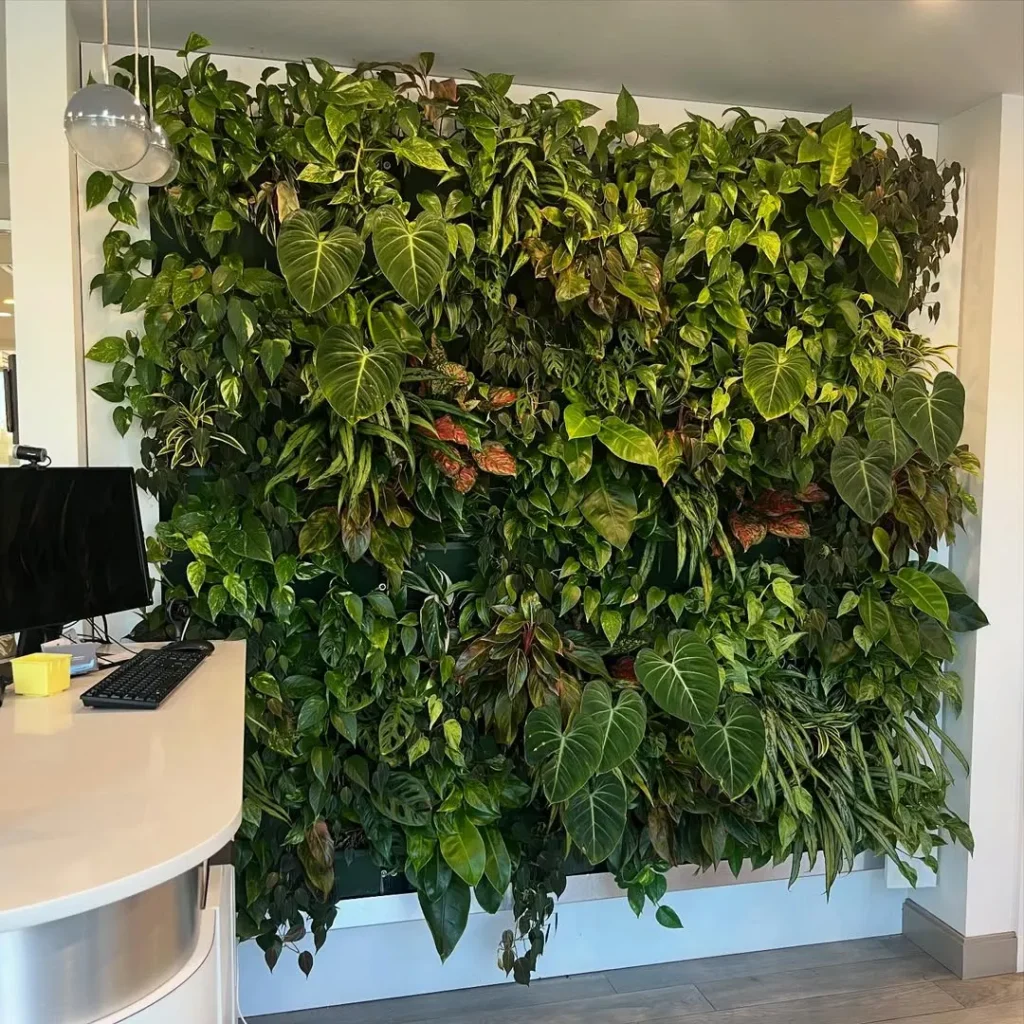 Indoor Wall Garden Ideas: Transform Your Walls into Living Art traditional wall gardening