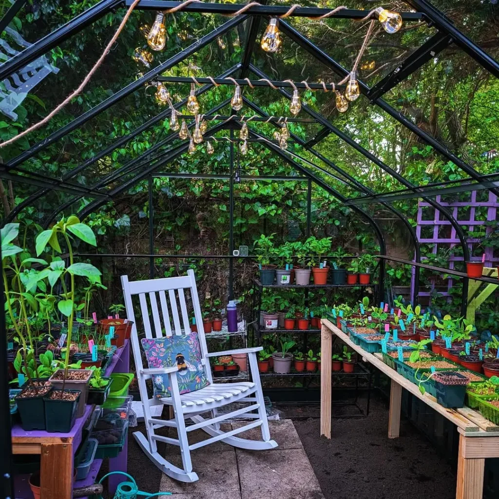 well stocked greenhouse
