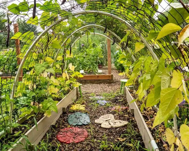 backyard vegetable arch garden design ideas