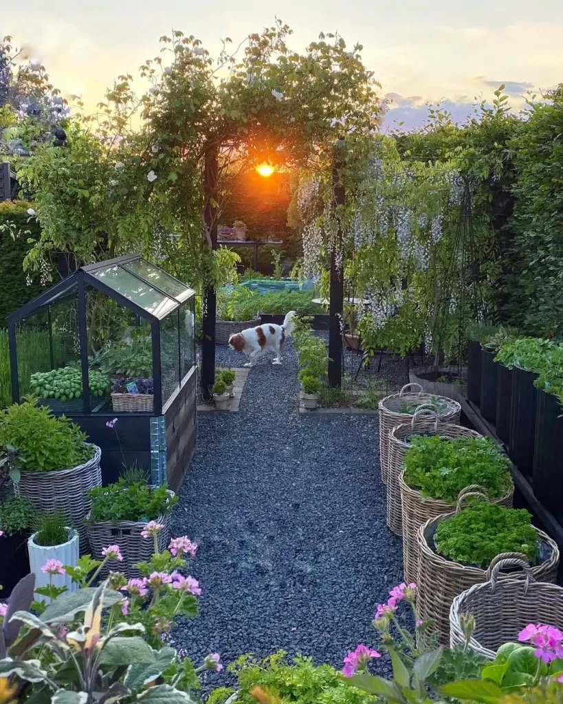 baskets container herb garden