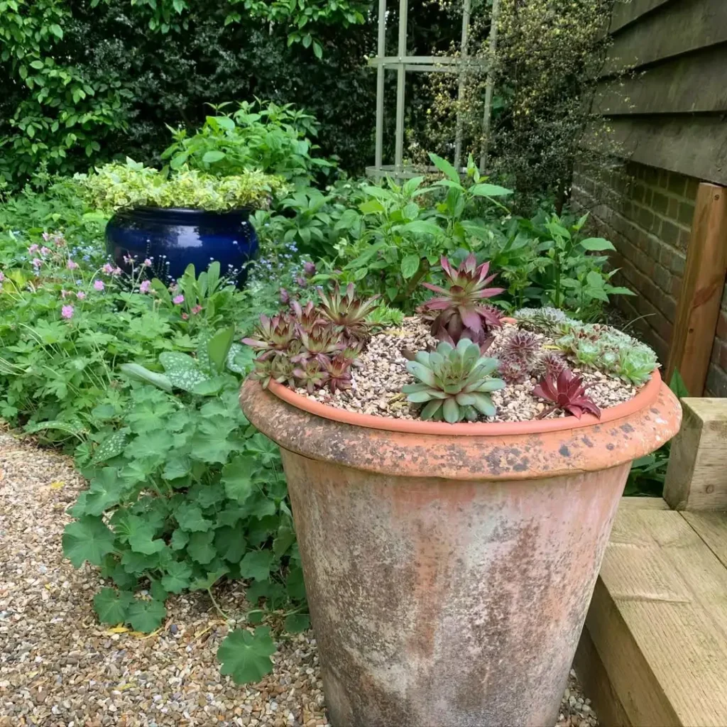 budget friendly small garden designs